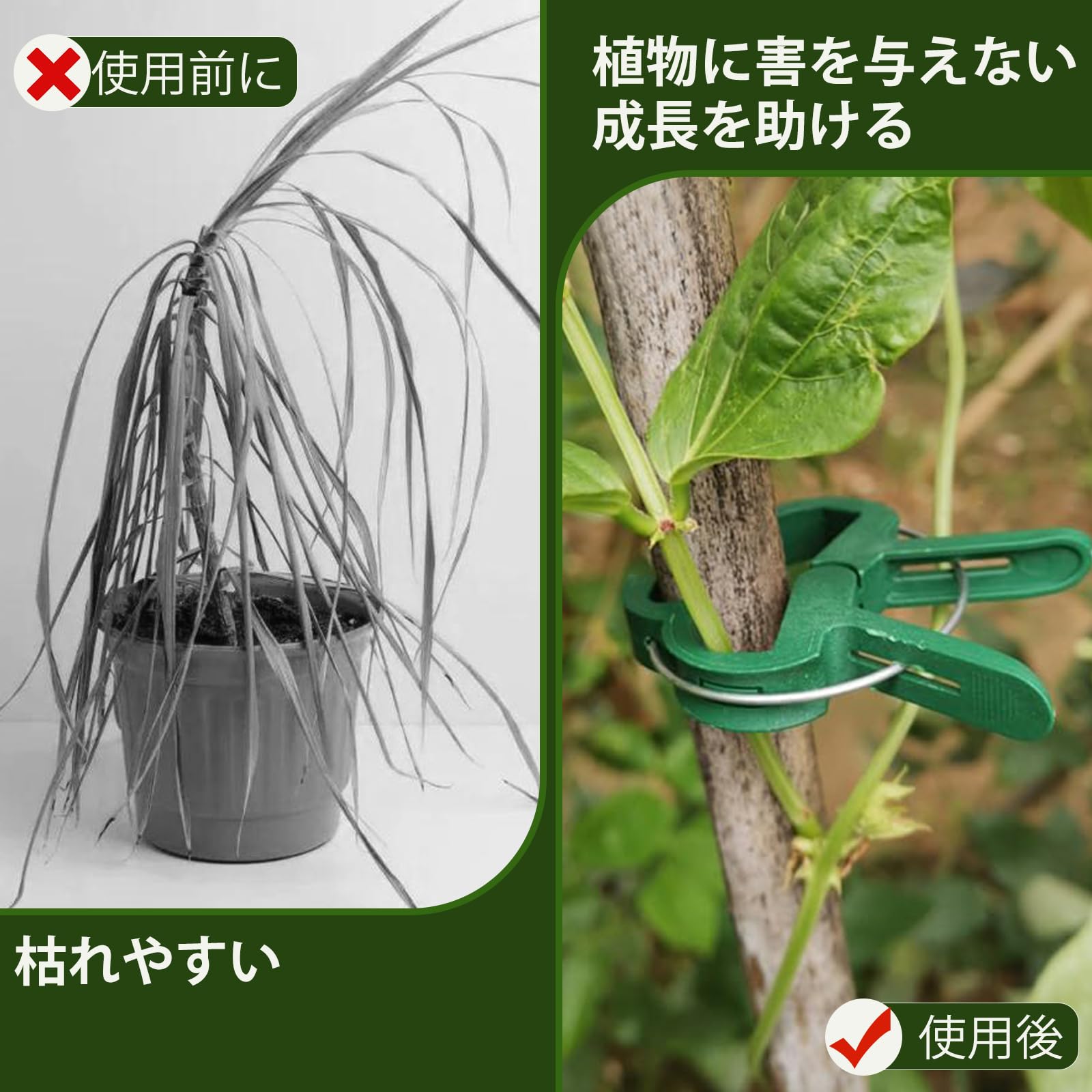 誘引クリップ 茎に優しい Ｒ型（サイズ：20㎜）2,000個 誘引クリップ 茎に優しい R型（サイズ：20㎜）2,000個 【公式通販】